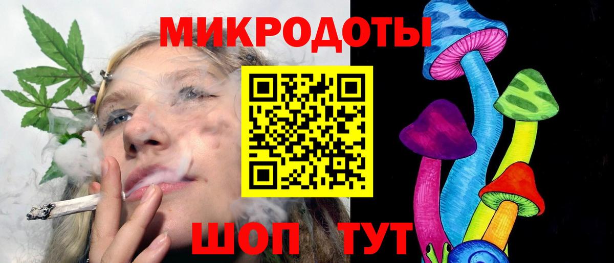 Псилоцибиновые грибы Psilocybine cubensis Торжок