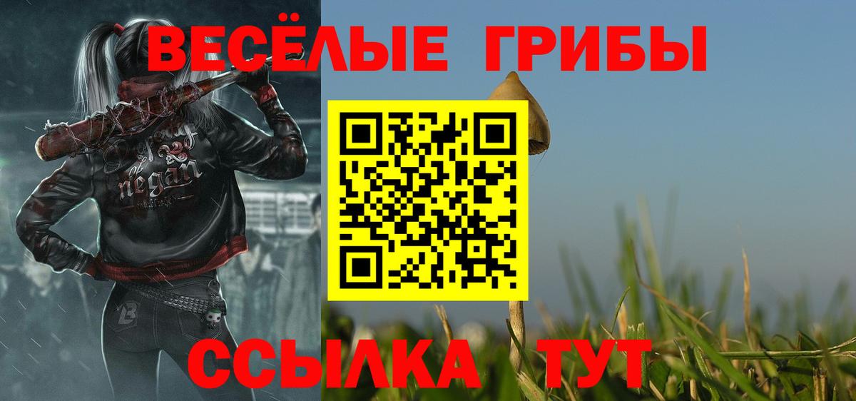 Галлюциногенные грибы прущие грибы  Вход с VPN  Торжок  Галлюциногенные грибы ЛСД 